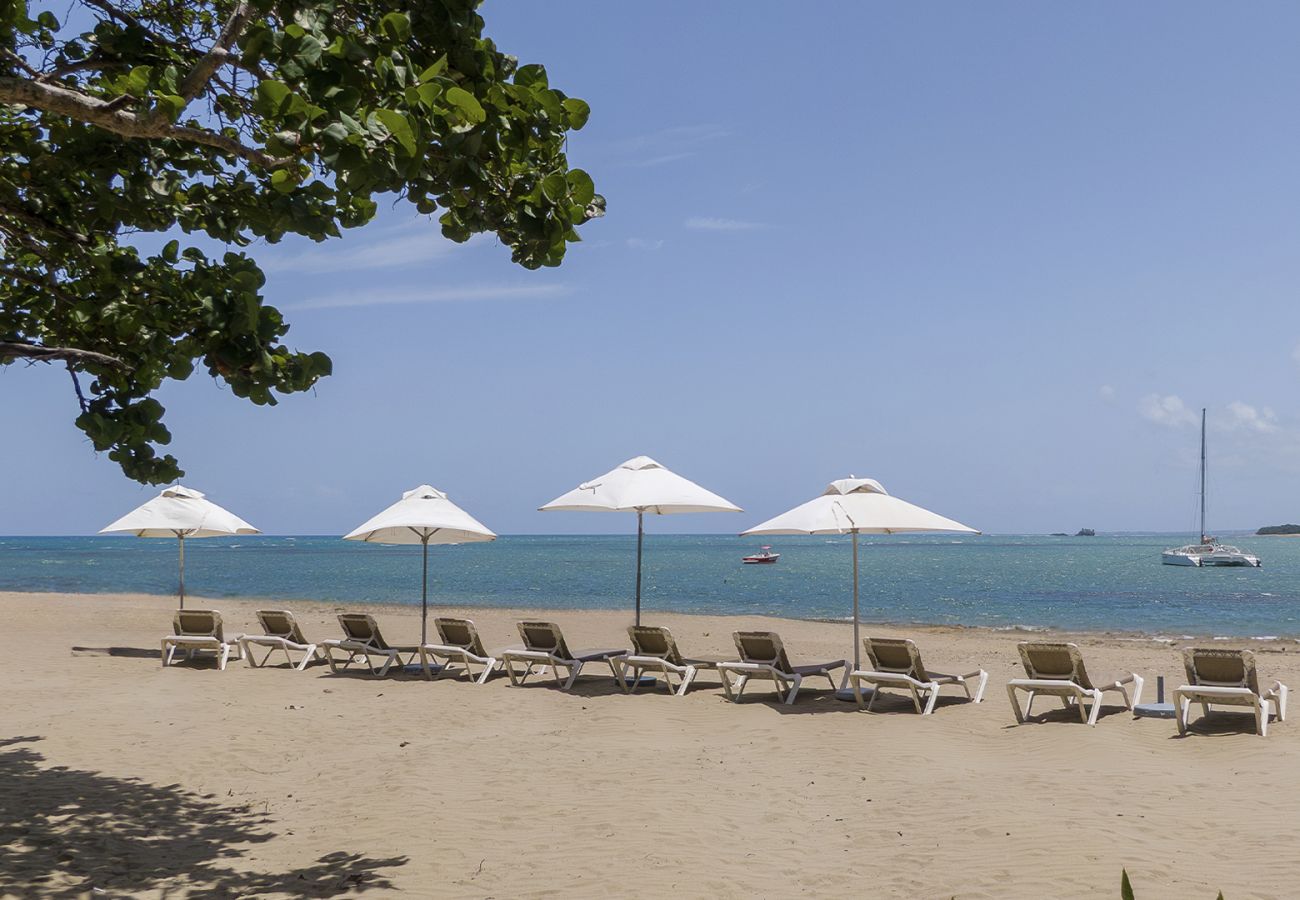 Departamento en Puerto Plata -  Riviera del Mar - Apto. 1 Hab. Vista Al Jardin